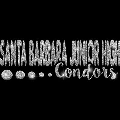 GLT80 SILVER GLITTER Thumbnail