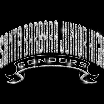 GLT37 SILVER GLITTER Thumbnail